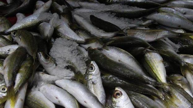 Aydın&#39;da havaların soğumasıyla talep patladı! Satışlar esnafın y&#252;z&#252;n&#252; g&#252;ld&#252;r&#252;yor