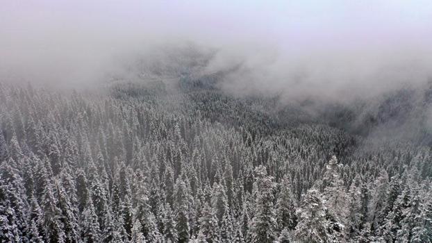 Kastamonu&#39;da kar ve sis Ilgaz Dağı&#39;nı beyaz cennete &#231;evirdi