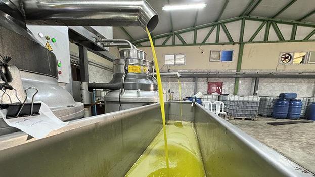 Hatay&#39;da muhtarın kurduğu tesis mahallelinin ge&#231;im kaynağı oldu! &#220;rettiklerini Suudi Arabistan&#39;a satıyorlar