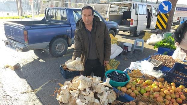 Dev görüntüleriyle pazarda ilgi odağı oldu! Kilosu ise 100 lira