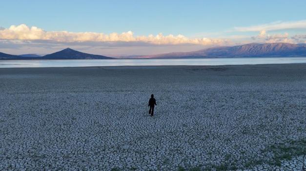 Batı Akdeniz'de sessizce büyüyen tehlike! 50 yılda yarısı yok oldu: Haritadan silinme tehlikesi var