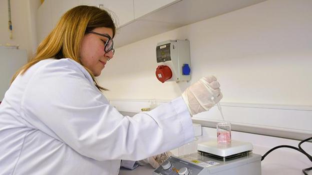 Bilecik’te bir ilk: Dünyaca ünlü markalara rakip olacak! İnhisar narından ürettiler