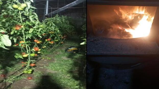 Antalya zirai don alarmı: Seralarda zorlu nöbet başladı! Bazı ürünleri don vurdu