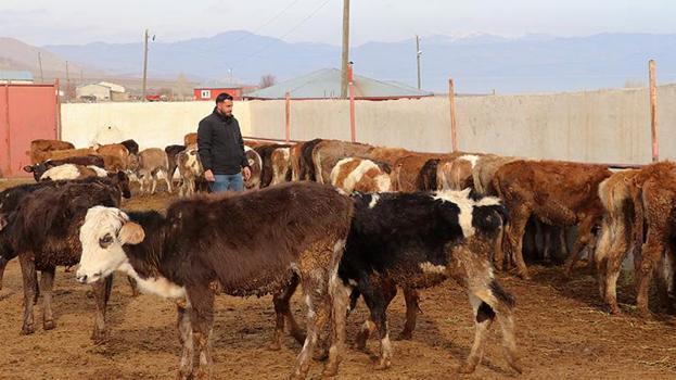 Üniversiteden mezun oldu, babasının yanına koştu! Devlet desteğiyle işi büyüttü, masrafları yarıya indirdi