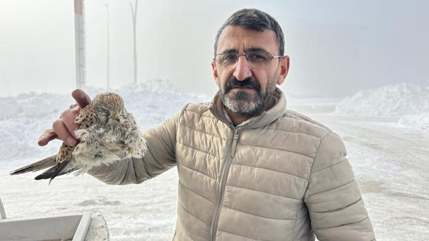 Hakkari'de yürek burkan manzara! Kuş konduğu yerde dondu