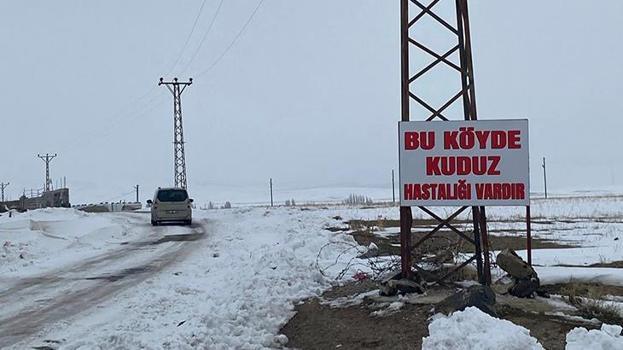Bitlis'te kuduz alarmı! Bölge karantinaya alındı