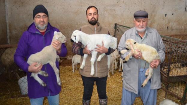 İngiltere'deki işini bırakıp Aksaray'daki köyüne döndü! Babasından devraldığı mesleği büyütüp kazancını katladı