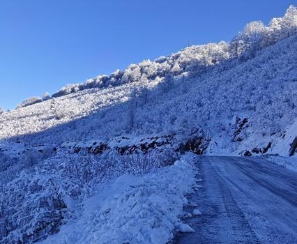 Ordu'da okullar tatil mi? Yarın okul var mı? 15 Ocak 2026 Perşembe Ordu'da okullar tatil edildi mi? Açıklama geldi