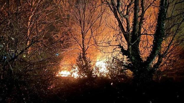 Zonguldak Filyos'ta ağaçlık alanda çıkan yangın korkuttu