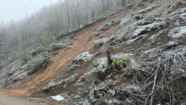 Düzce'de her sokakta yer alıyor! Muhtardan terk edin çağrısı geldi