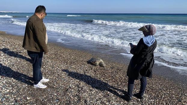 Mersin'de korkutan görüntü! İki günde 2'si de telef oldu!