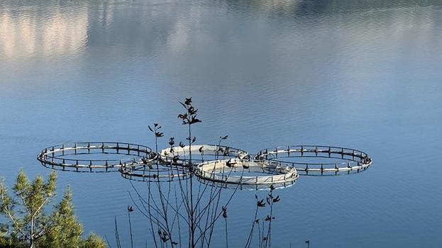 Torosların arasında üretiliyor, dünyaya gönderiliyor! Rusya'dan Japonya'ya 9 ülkeye dev ihracat