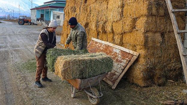 İnternette görüp başvurdu, hayatı değişti! Köyünde başladığı üretimle kazancını katladı