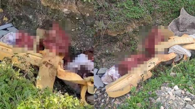 Otoyol kenarında kemikler bulundu! Jandarma izleri sürünce korkunç manzarayla karşılaştı