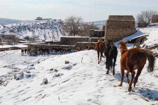 Şırnak'ta dağ eteğinde görülüyor: Bölgede hareket eden her şeye anlam katıyor