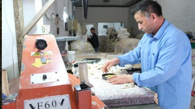 Norveç’ten geliyor, Erzincan’da üretiliyor! Türkiye’de sadece 2 ilde var: Talep yağıyor