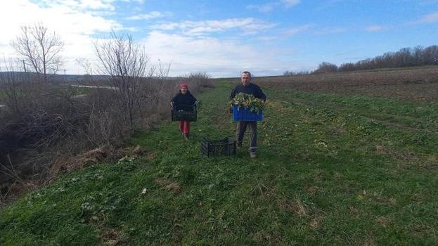 Çocuklarının geleceği için her şeyi denediler! Toprağı altına dönüştürdüler!