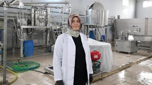 Lise mezunu köyüne kurup patron oldu! Günde 10 ton üretiyor, birçok şehre kasa kasa gönderiyor