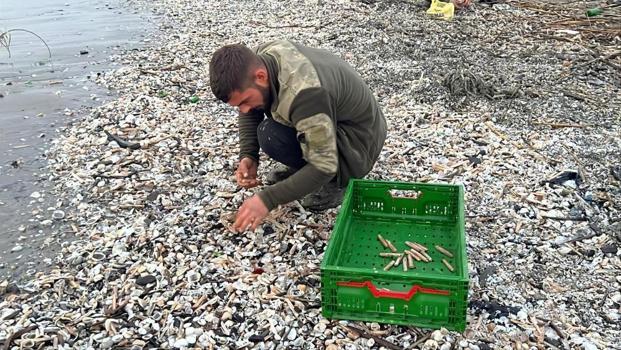 Mersin'de fırtına hediye etti: Sahilde tek tek topladılar