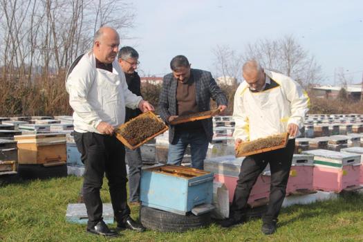 Türkiye'de en fazla bal üretimi burada yapılıyor! Arıcılar sezona hazırlanıyor