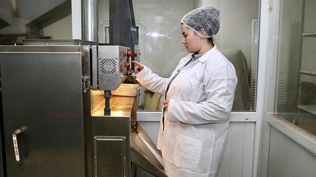 Giresun'da genç kadın işi öğrendi devlete başvurdu! Aldığı destekle kendi tesisini kurdu