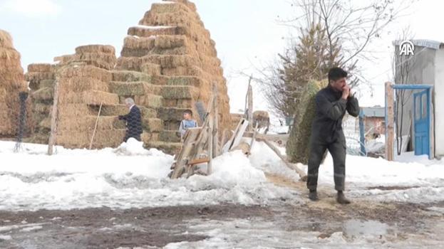 Üniversiteyi bitiren geri döndü: İlkel yöntemleri bıraktılar, yılda 8 milyon lira kazanıyorlar