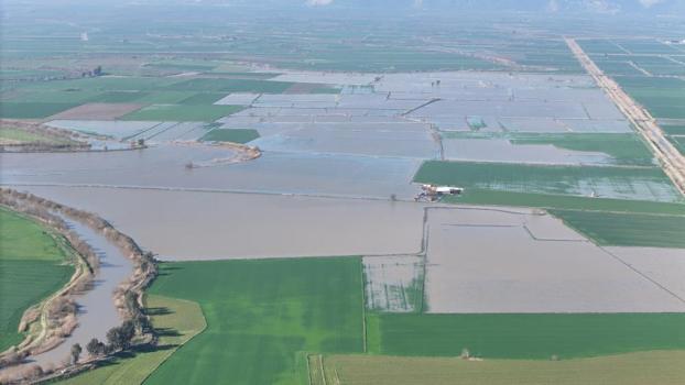 Aydın'da yüzlerce dönümde etkili oldu: Üretim alanlarında görüldü