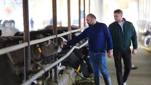 Depremin izleri üretimle siliniyor: Telef olan hayvanların yerine hibeler geldi, süt üretimi başladı