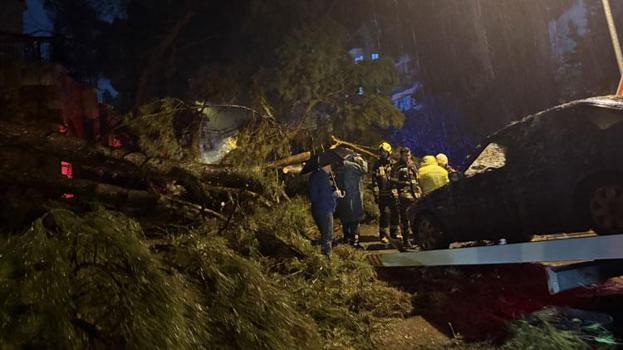 Ağacın otomobilin üzerine devrilmesi sonucu 2 kişi yaralandı