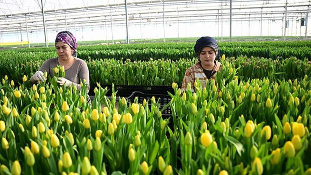 Sadece suyla rengarenk üretiliyor! Piyasayı altüst etti: Taleplere yetişemiyorlar