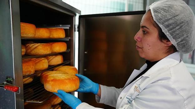 Bigalı kadınlar 13 çeşitten üretti! Yılda 110 ton kullanıyorlar, Belçika'ya ihraç ediyorlar