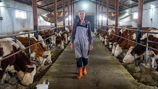 Erzurumlu vatandaş hayvancılığı bırakmaya niyetlendi! Devletten aldığı büyük destekle vazgeçti