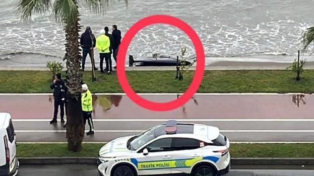 Ordu’da sahilde alarm! Kıyıya vuran cisim şaşkına çevirdi