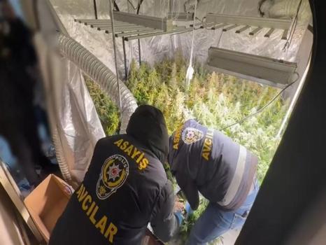 Avcılar'da metruk binada bulundu: Tüm İstanbul'a satılıyor!