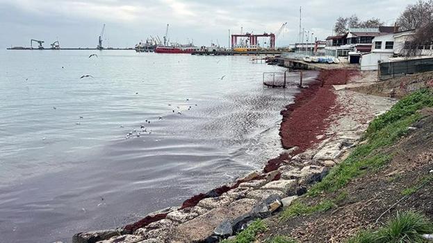 Tekirdağ'da poyrazdan sonra deniz kıyıları kırmızı renge büründü