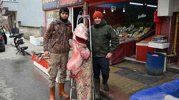 Kilosu 500 lira! Edirne'de Yakalanan 102 Kiloluk Nehir Canavarı Kapış Kapış Gidiyor