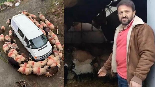 Trabzon’da ilginç görüntüler!