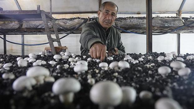 Altınlarını bozdurup bu işe girdi! Ahırda üretmeye başladı şimdi herkes peşinde