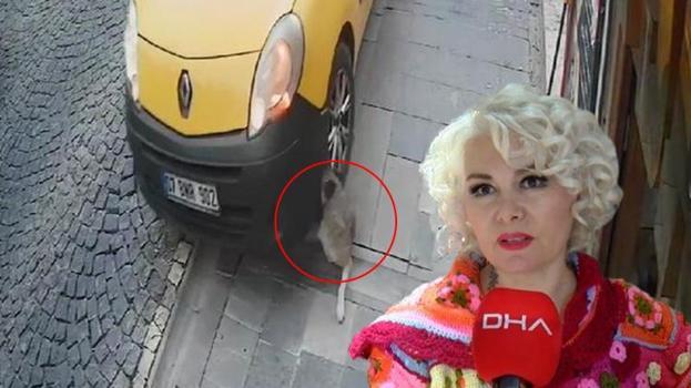 ‘Mardinli Marilyn Monroe’ tahliye edildi! Taksi şoförünün köpeği ezdiği anın videosunu paylaştığı için cezaevine girmişti