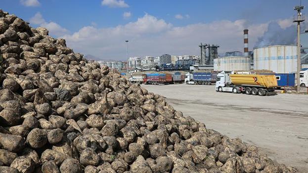 Konya Şeker'den üreticiye 12,7 milyar TL'lik dev destek! Yarın başlıyor