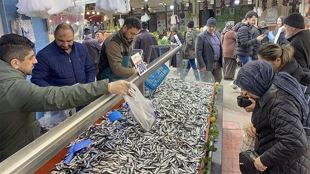 Tezgahlar hamsi ile şenlendi! Kilosu 200 liradan kapış kapış gidiyor
