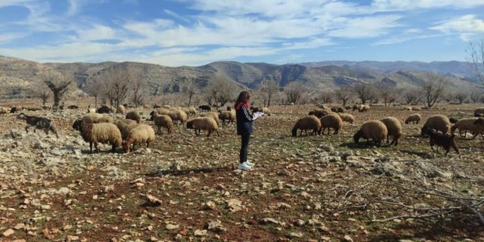 Şırnak'ta arazide dikkat çekti: Tespit edilince kayıt altına alındı!