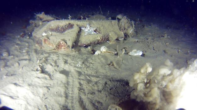 51 yıl önce düşmüştü! Uçağın enkazından yeni parçalar bulundu