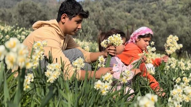 Beyaz altın hasadı başladı! Bir ilçenin geçim kaynağı oldu: Faydaları saymakla bitmiyor