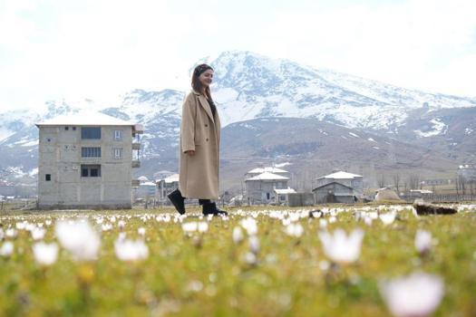 Muş Ovası'nda ilk kez açtı: Şubat ayında herkesi şaşırttı