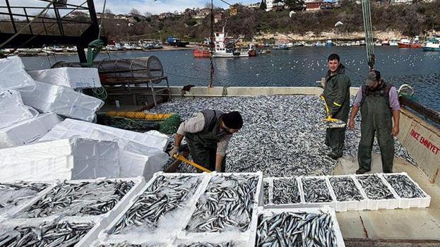 Kırklarelili kardeşlerin 6 saatlik balık avı rekorla bitti! Görenler gözlerine inanamadı