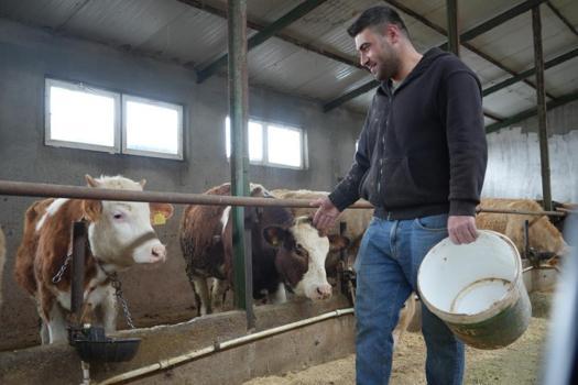 Bayburt’ta üreticiye 50 milyonluk dev destek: 3 bin 365 ton yem dağıtıldı! Hayvancılık yeniden canlanıyor