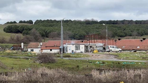 İstanbul'da çiftlik evinde vahşet! Elektrikli testereyle çalışanının boynunu kesti