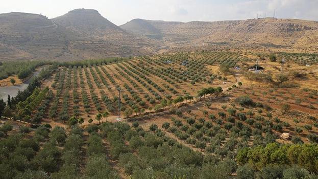 Türkiye'nin üretim merkezinde tehlike patladı! Risk en üst seviyede: Kesinlikle uzan durun