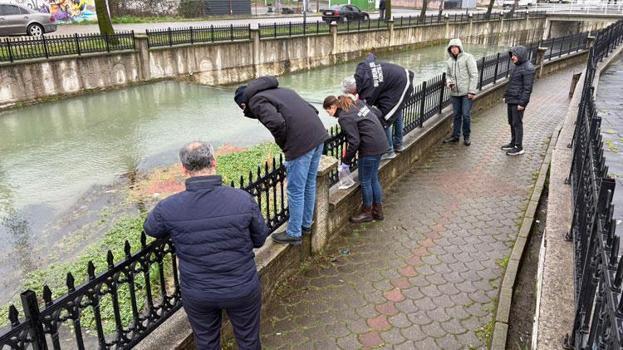 Hendek'ten geçen Uludere Çayı'nda binlerce ölü balık bulundu: Ekipler seferber oldu